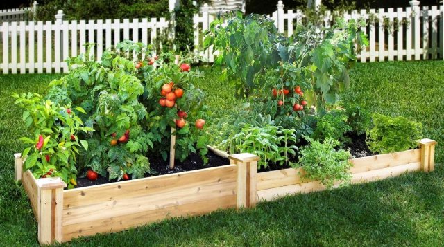 Красивые грядки своими руками: 50 идей, как украсить огород и вырастить хороший урожай